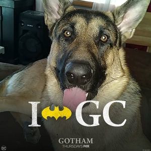 Meet your Posher, Donald